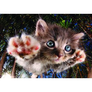 Quebra Cabeça Super 3D Modelo Gato com 500 Peças Multikids - BR1051