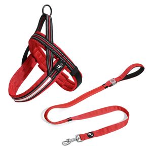 Kit Guia e Peitoral LED Vermelho Tam. P Mimo - PP329A